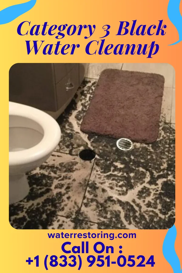 Category 3 Black Water Cleanup in Bayside, VA