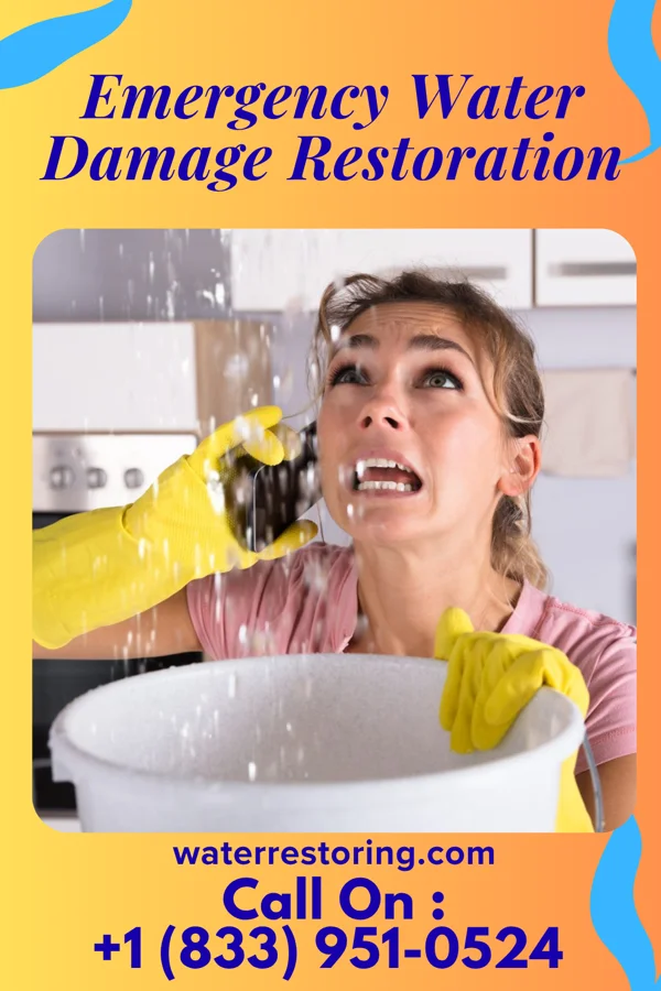 Emergency Water Damage Restoration in Bayside, VA