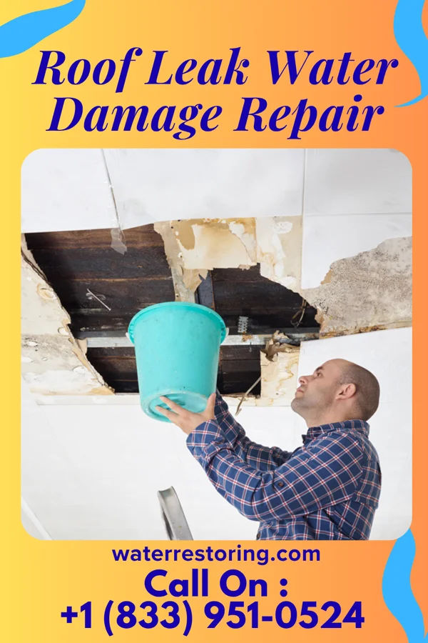 Roof Leak Water Damage Repair in Bayside, VA