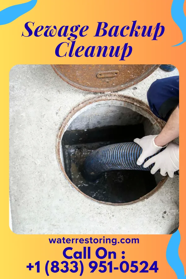 Sewage Backup Cleanup in Bayside, VA