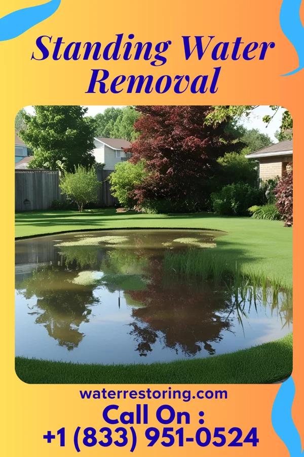 Standing Water Removal in Bayside, VA